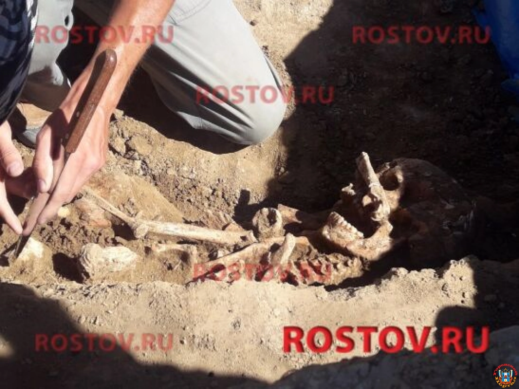 В Ростове археологи нашли гробницу неизвестного народа, существовавшего 4 тысячи лет назад
