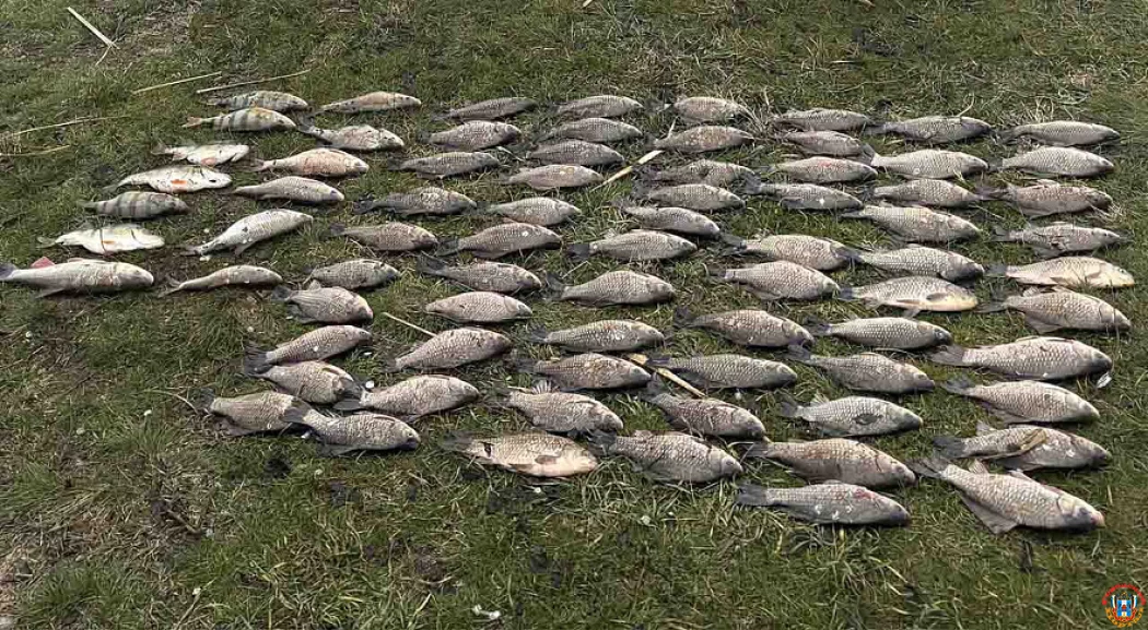 Житель Пролетарска поплатился за незаконный улов: ущерб оценили в 20 тысяч рублей