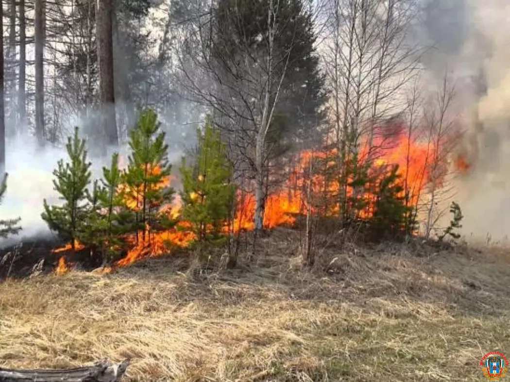 В Ростове-на-Дону усилили контроль за профилактикой ландшафтных пожаров