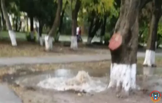 В Ростове территорию лицея затопило из-за прорыва трубы