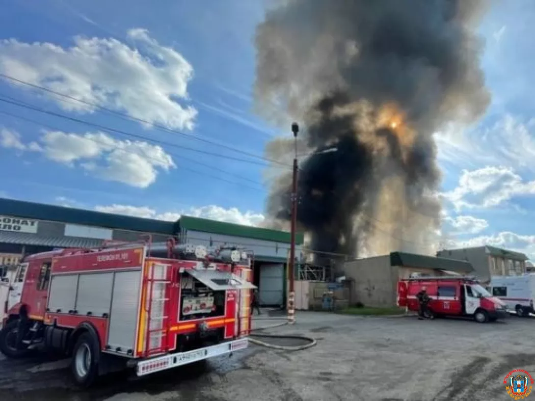 Спасатели продолжают тушить пожар по повышенному рангу на окраине Ростова