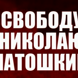 Юрист Сергей Савостьянов об аресте Николая Платошкина