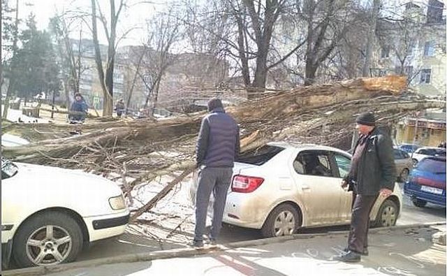 Спасатели предупредили о резком усилении ветра в Ростове