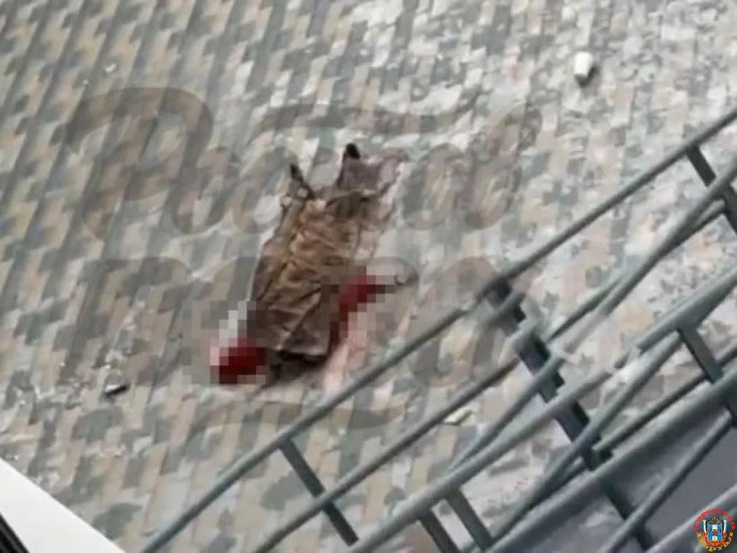 В Ростове 22-летняя девушка погибла, выпав из окна многоэтажки