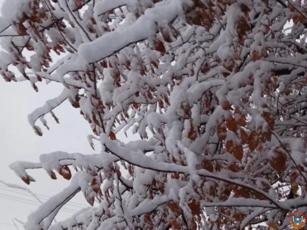В Ростовской области объявили штормовое предупреждение из-за налипания снега