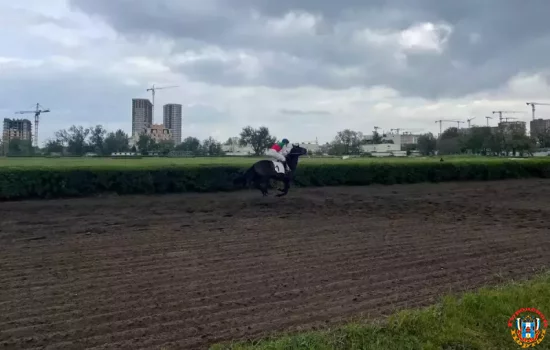 Что происходит на ростовском ипподроме после новости о закрытии