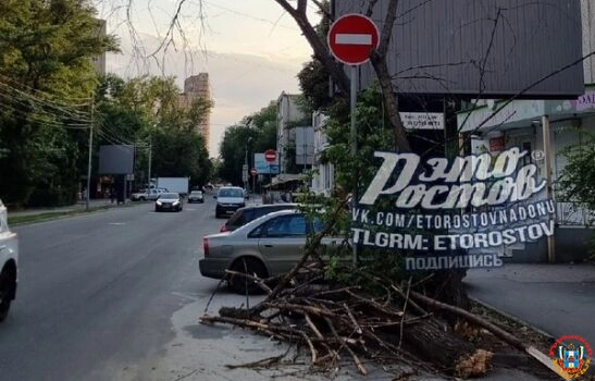 На Варфоломеева в Ростове сухое дерево упало на проезжую часть