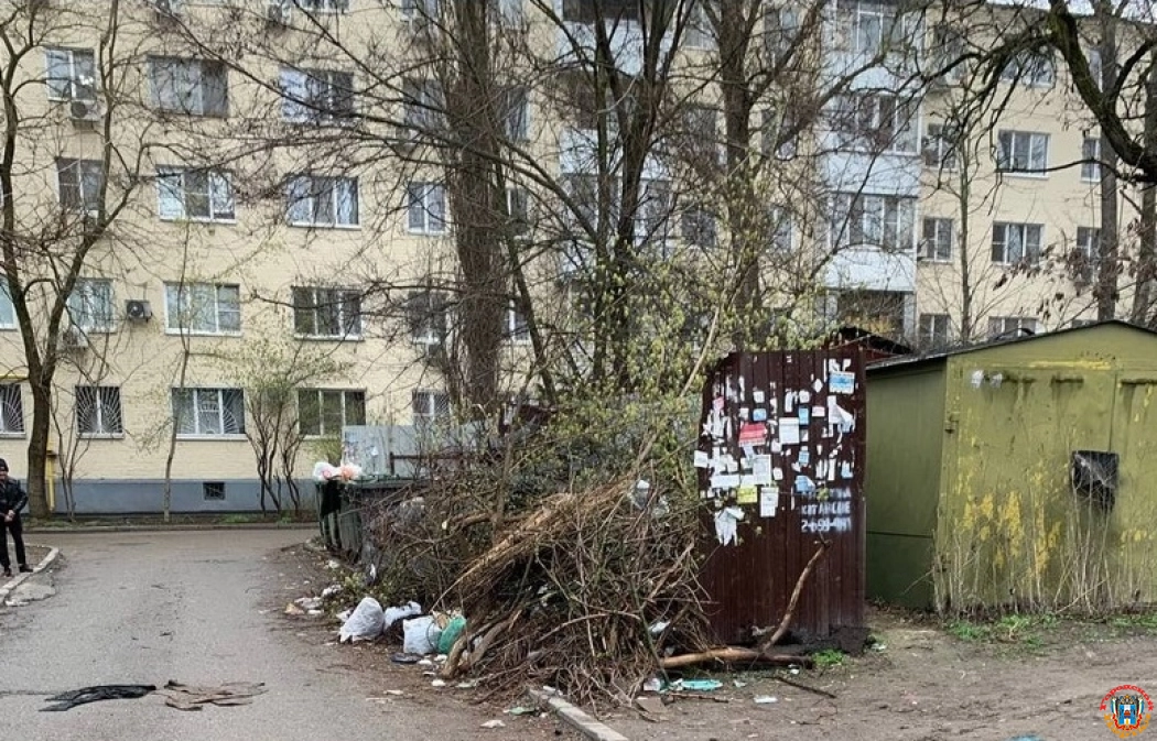 Жители Александровки пожаловались на замусоренную контейнерную площадку