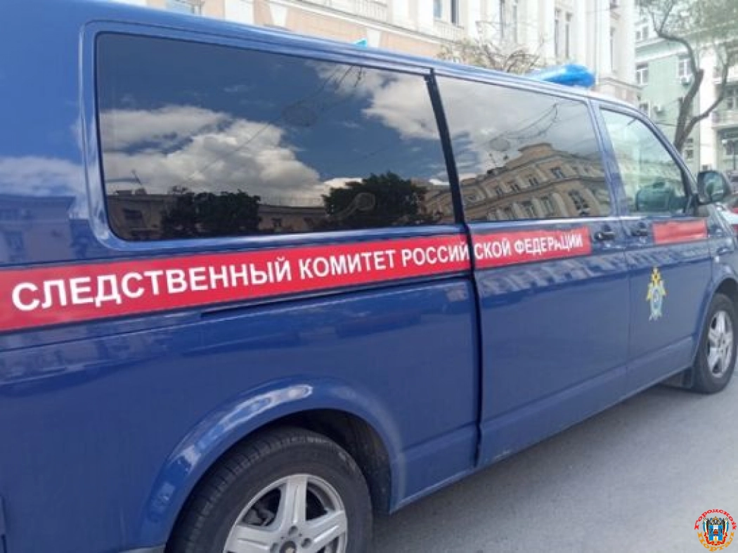 СКР проводит проверку по факту утопления двух детей в Ростовской области