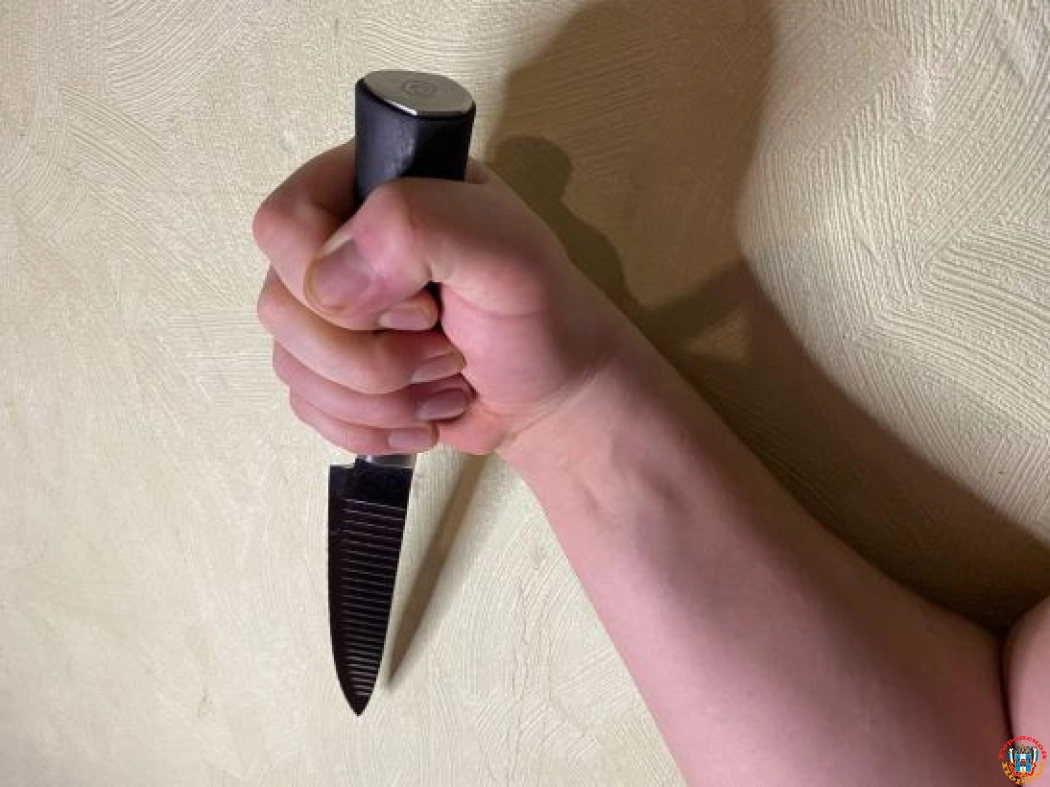 В Ростовской области мужчина ударил ножом знакомого в живот