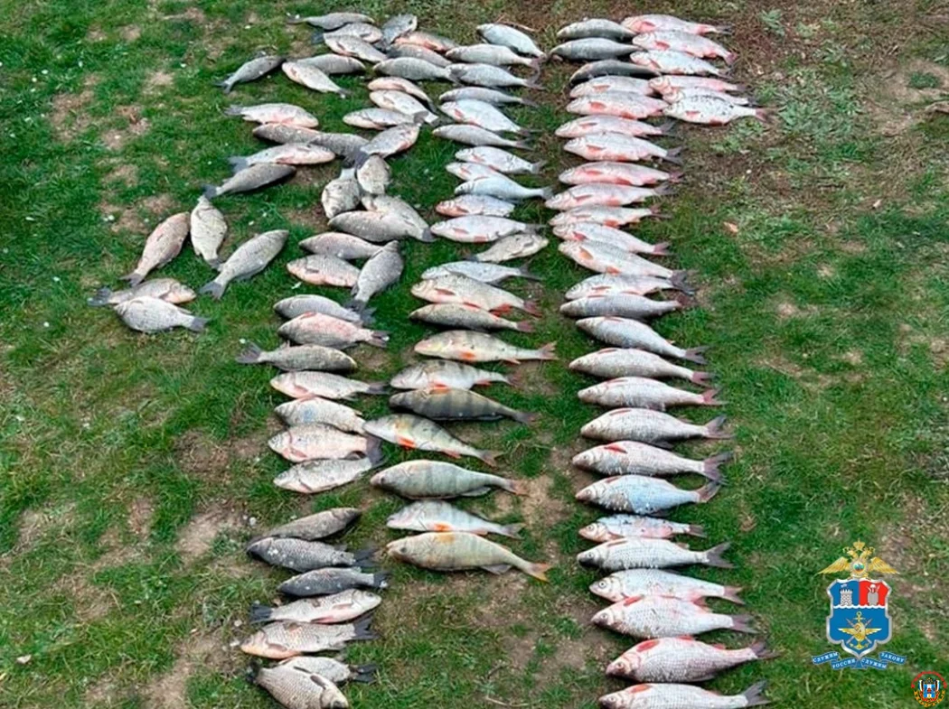 Задержан браконьер с 200 метрами сетей в Ростовской области