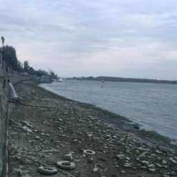 Из-за ураганного ветра в Ростове резко обмелел Дон