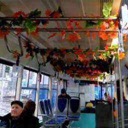 Украшенный под «осень» салон трамвая доставил эстетическое удовольствие жителям Ростова