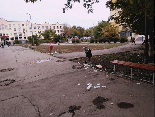 Превратившие территорию возле лицея в свинарник коммунальщики вызвали ненависть ростовчан