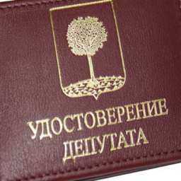 Скрывающего свои доходы депутата в Ростовской области лишили мандата и отправили на покой