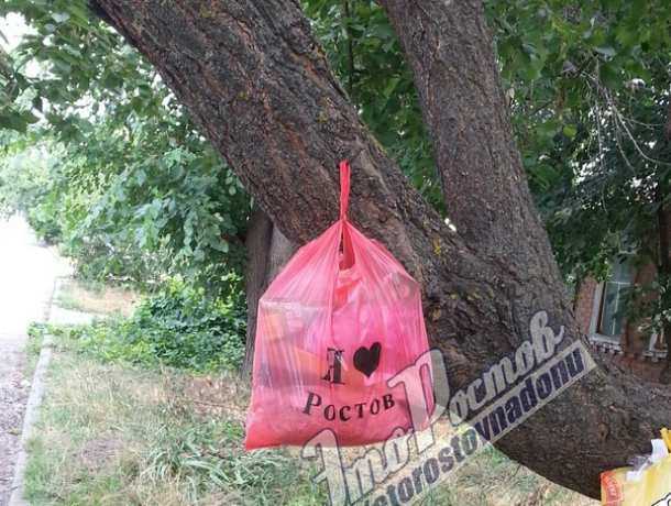 «Поросшее» мусорными пакетами дерево вызвало стыд за жителей частного сектора у ростовчан