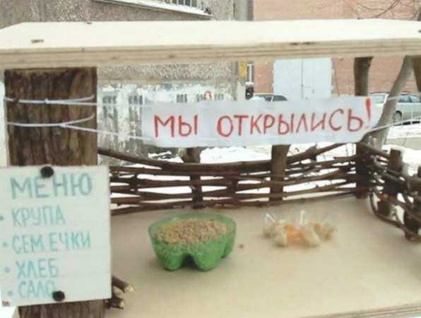 Оборудованный со вкусом ресторан для птиц вызвал голодный интерес у жителей Ростова