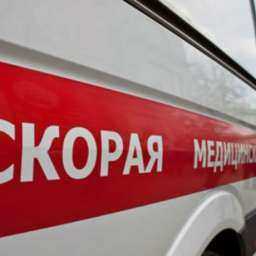 Приземлившийся в аэропорту Ростова пассажир умер на руках у медиков