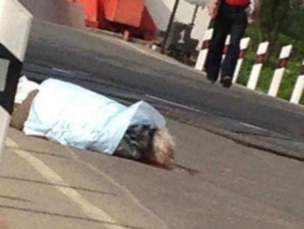 Водитель отечественного автомобиля насмерть сбил пенсионерку в Ростовской области