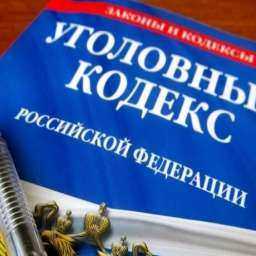 Наглая директриса прикарманила деньги школы и зарплаты подчиненных в Ростовской области