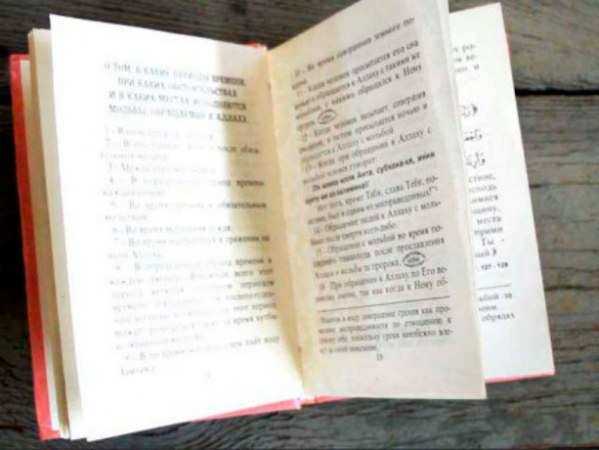 Экстремистскую книгу на теплоходе из Турции нашли в порту Ростова Экстремистскую книгу на теплоходе из Турции нашли в порту Ростова