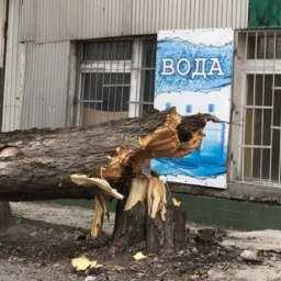 Мощный штормовой ветер спрогнозировали для жителей Ростова
