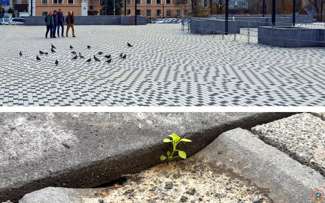 Как в Ростове выглядит площадь перед обновленным Дворцом спорта