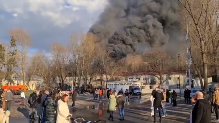 Пожар в Парке Горького потушен