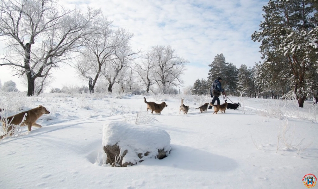 О морозах до -20 градусов предупредили жителей Ростовской области