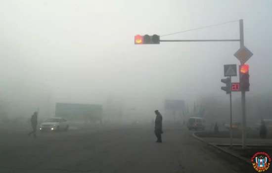 Об ухудшении видимости на дорогах из-за тумана и снегопада предупредили Ростовчан
