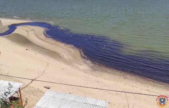 В Азовское море таганрогская ливневка сбрасывала грязную воду