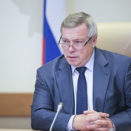 Василия Голубева признали «устойчивым губернатором»