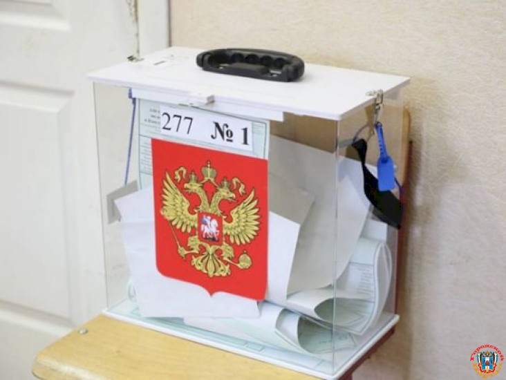 На Дону явка на выборах в Госдуму по итогам двух дней голосования составила 25,3%