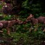 Трогательными кадрами с крошками-волчатами поделился ростовский зоопарк 5