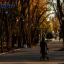 Весна, которую мы пропускаем: фоторепортаж с цветущих улиц Ростова 3