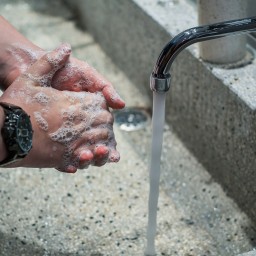 Роспотребнадзор: «омикрон» стал доминирующим штаммом коронавируса в Ростовской области