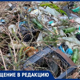 Жители нижней Александровки пожаловались на кучи строительного мусора и бытовых отходов