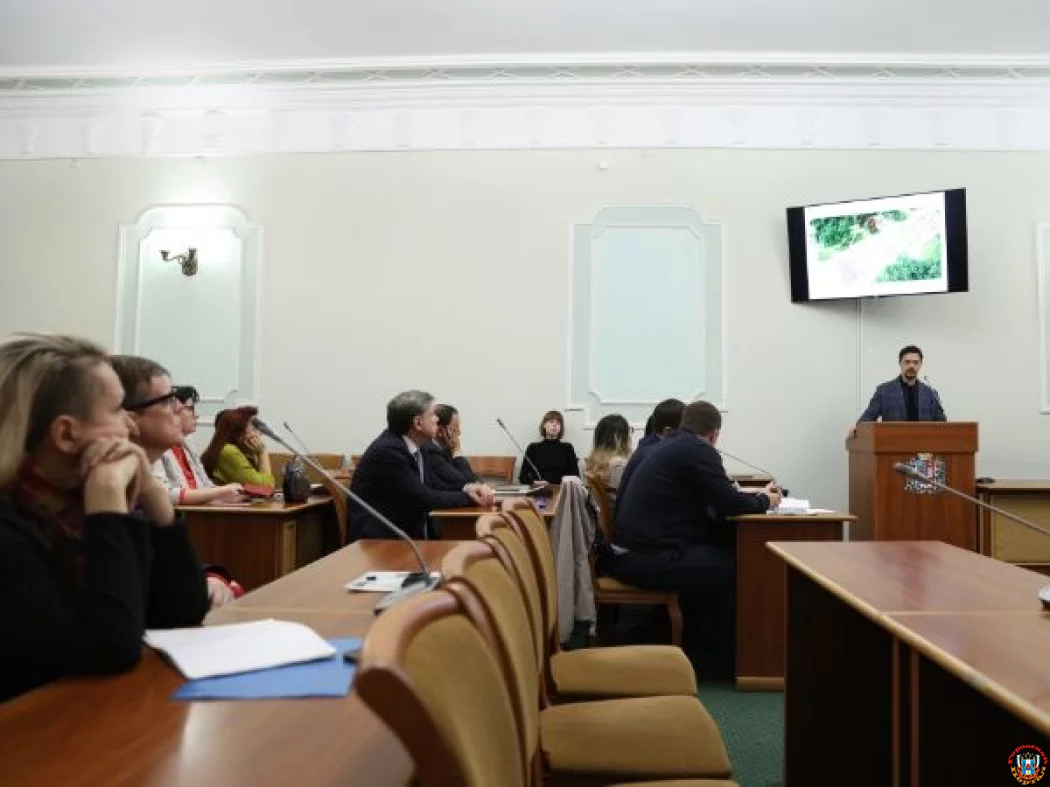 Обсудили в администрации Ростова завершающие этапы разработки проектов благоустройства парка «Дружба»