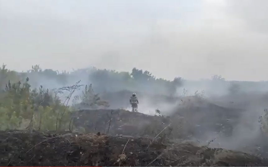 В Ростове на улице Вавилова на большой площади загорелась сухая растительность