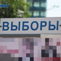 Вместе с ростовчанами выбирать депутатов Госдумы будут россияне из ДНР, ЛНР, Израиля и Эстонии