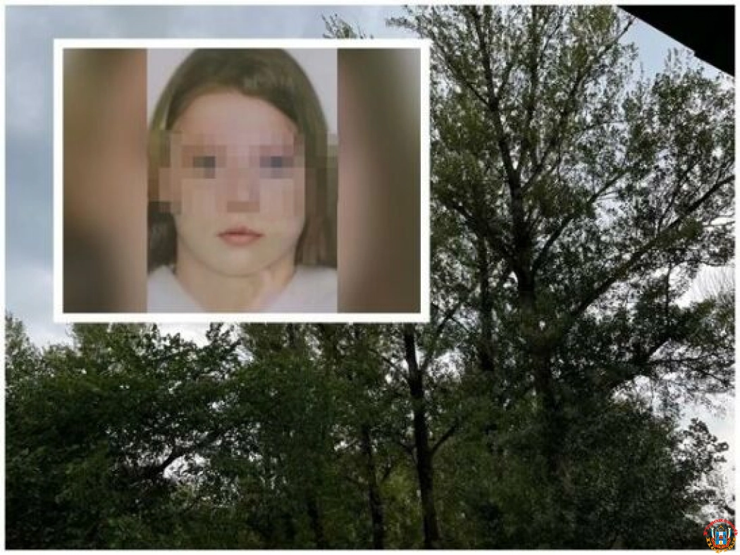 Волонтеры рассказали о поисках пропавшей в Ростовской области 14-летней школьницы