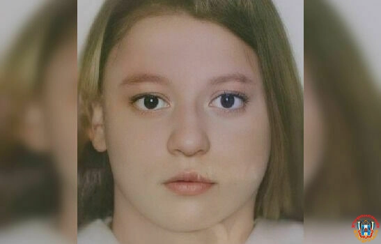 К поискам пропавшей на Дону девочки-подростка привлекли автомобилистов