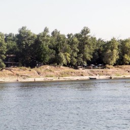 Показатели загрязнения Дона в Ростовской области оказались в 120 раз выше нормы
