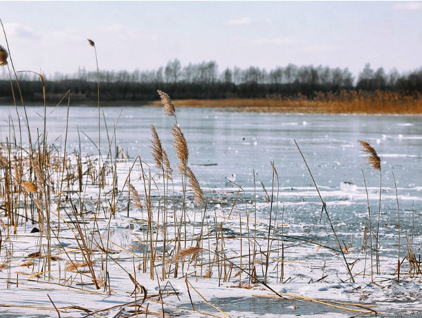 Трое дончан провалились под лед в Ростовской области