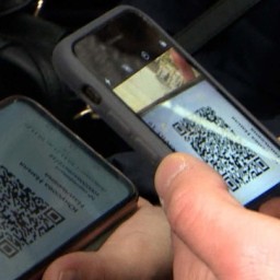 Временный мораторий на QR-коды введен в Ставропольском крае