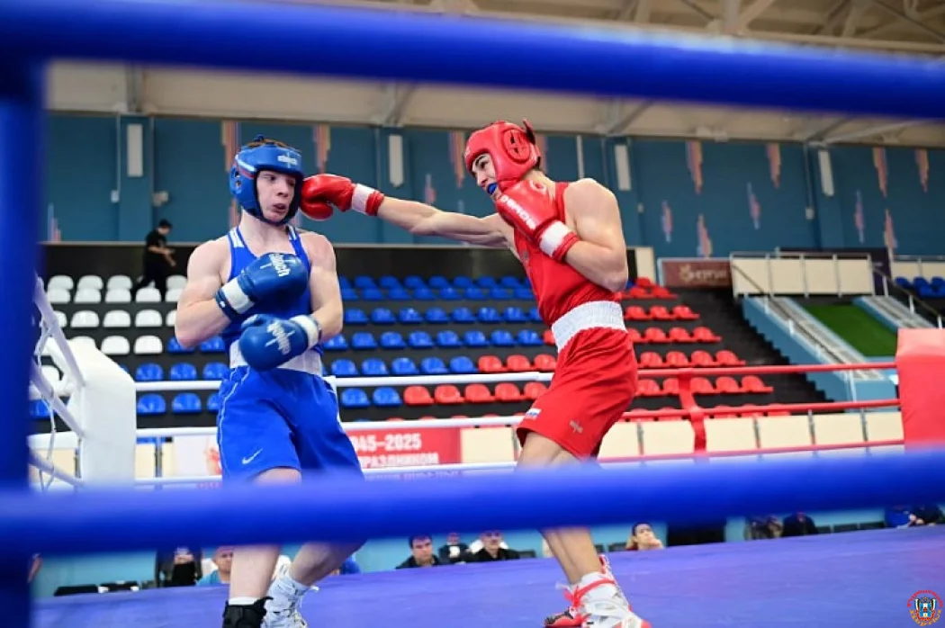 Ростовские мастера перчатки доминировали на областном ринге, завоевав 21 высшую награду