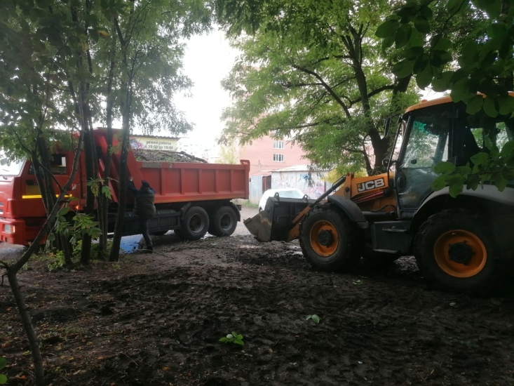 Темерницкую рощу в Ростове расчистили от мусора