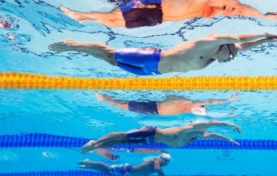 Россияне не смогут принять участие в чемпионате мира по плаванию
