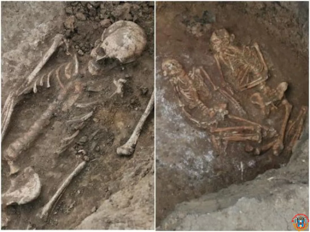 В Ростовской области археологи откопали 50 древних захоронений