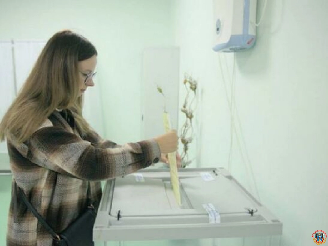 Жителям Донбасса рассказали, как проголосовать на референдуме в Ростове